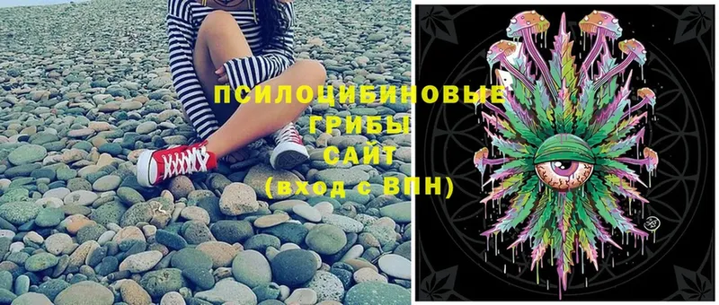 Галлюциногенные грибы Magic Shrooms  Шумерля 